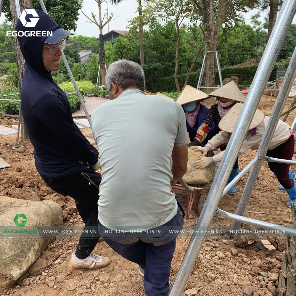 Đội ngũ công nhân không quên "tặng kèm" mấy viên tá lớn để giữ vững gốc cây mới tới.